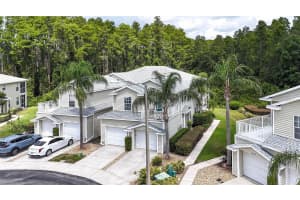 1827 HAMMOCKS AVENUE, LUTZ, FL 33549 Sold 06/20/25