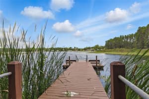 1827 HAMMOCKS AVENUE, LUTZ, FL 33549 Sold 06/20/25