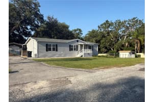 317 MCCOLSKEY AVENUE, BRANDON, FL 33510 Sold 07/18/25