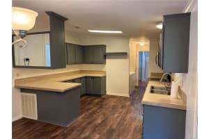 317 MCCOLSKEY AVENUE, BRANDON, FL 33510 Sold 07/18/25