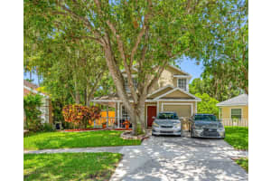 8514 MANASSAS RD, TAMPA, FL 33635 - MLS#MFRTB8392990