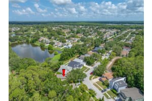 8514 MANASSAS RD, TAMPA, FL 33635 - MLS#MFRTB8392990