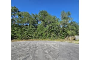 13431 FLAGSTAFF DRIVE, BROOKSVILLE, FL 34614 - MLS#MFRTB8392993
