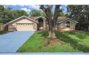 13094 HUNTINGTON WOODS AVENUE, SPRING HILL, FL 34609 - MLS#MFRTB8393021