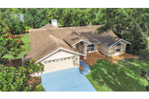 13094 HUNTINGTON WOODS AVENUE, SPRING HILL, FL 34609 - MLS#MFRTB8393021