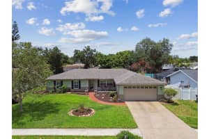 3822 ROLLING CIRCLE, VALRICO, FL 33594 Sold 07/31/25