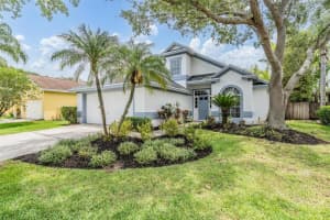 9806 Bennington Dr, TAMPA