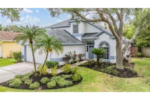 9806 BENNINGTON DRIVE, TAMPA, FL 33626 - MLS#MFRTB8393121