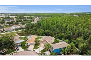 3305 Hoylake Ct, LAND O LAKES