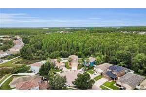 3305 HOYLAKE COURT, LAND O LAKES, FL 34638 - MLS#MFRTB8393206