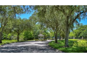 1460 KENSINGTON WOODS DRIVE, LUTZ, FL 33549 - MLS#MFRTB8393303