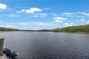 4783 SCHOOL ROAD, LAND O LAKES, FL 34638 Sold 07/25/25