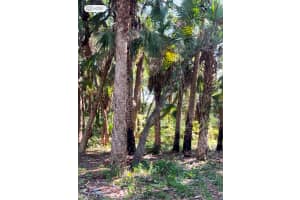 0, COCOA, FL 32926 Sold 06/18/25