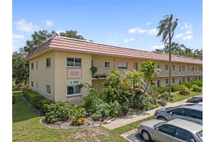 2003 GREENBRIAR BOULEVARD, CLEARWATER, FL 33763 - MLS#MFRTB8393362
