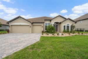 33219 Kateland Dr, WESLEY CHAPEL
