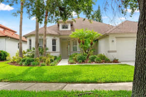 2238 Shirecrest Cove Way, LUTZ