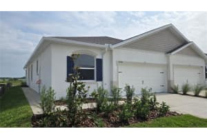 31471 Paper Birch St, WESLEY CHAPEL