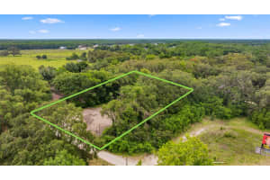 19057 MALABAR AVENUE, SPRING HILL, FL 34610 - MLS#MFRTB8393513