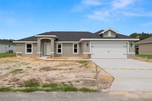 5441 Chestnut Ridge Rd, DADE CITY