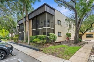 11805 RAINTREE LAKE LANE, TAMPA, FL 33617 Sold 07/25/25