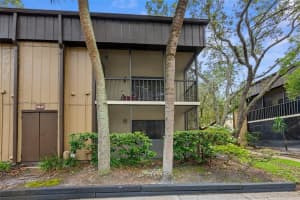 11805 RAINTREE LAKE LANE, TAMPA, FL 33617 Sold 07/25/25