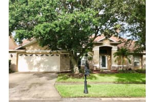 12415 Seabrook Dr, TAMPA
