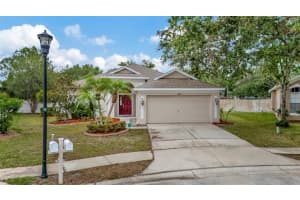 11123 SILVER DANCER DRIVE, RIVERVIEW, FL 33579 Sold 07/16/25
