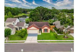 5016 CYPRESS TRACE DRIVE, TAMPA, FL 33624 Sold 07/09/25