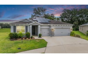 14063 Wineberry Dr, DADE CITY