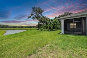 14063 WINEBERRY DRIVE, DADE CITY, FL 33525 - MLS#MFRTB8393607