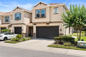 6711 ROCKY PARK STREET, TAMPA, FL 33625 - MLS#MFRTB8393611