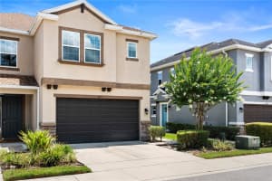 6711 ROCKY PARK STREET, TAMPA, FL 33625 - MLS#MFRTB8393611