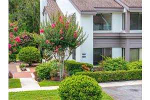 1712 Lake Cypress Dr #1604, SAFETY HARBOR