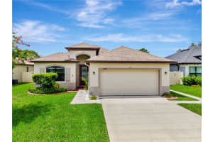 19974 Bluebird Meadow Dr, LUTZ