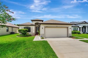 19974 BLUEBIRD MEADOW DRIVE, LUTZ, FL 33558 - MLS#MFRTB8393665
