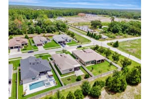 19974 BLUEBIRD MEADOW DRIVE, LUTZ, FL 33558 - MLS#MFRTB8393665