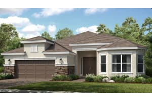 29606 Imperati Blvd, WESLEY CHAPEL