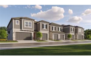 10844 Fowlers Bluff Ct, TAMPA