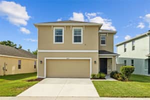 16121 Soft Fern Trace, ODESSA