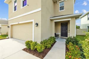 16121 SOFT FERN TRACE, ODESSA, FL 33556 - MLS#MFRTB8393723