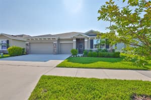 12382 SHINING WILLOW STREET, RIVERVIEW, FL 33579 - MLS#MFRTB8393734