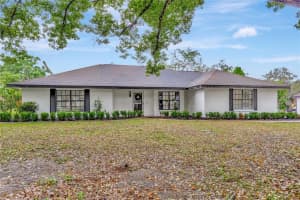 9615 Raiden Ln, RIVERVIEW