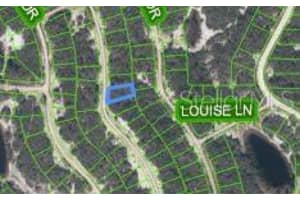 259 DARGEN DRIVE, LAKE PLACID, FL 33852 - MLS#MFRTB8393786