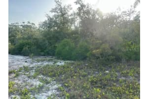 259 DARGEN DRIVE, LAKE PLACID, FL 33852 - MLS#MFRTB8393786