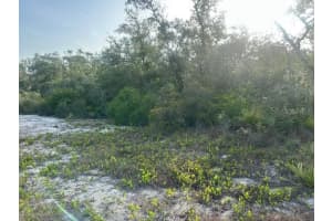 259 DARGEN DRIVE, LAKE PLACID, FL 33852 - MLS#MFRTB8393786
