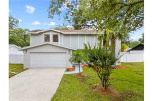 4509 GRAINARY AVENUE, TAMPA, FL 33624 - MLS#MFRTB8393834