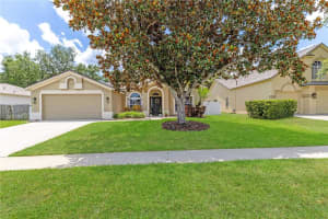 4531 RIVER OVERLOOK DRIVE, VALRICO, FL 33596 - MLS#MFRTB8393835