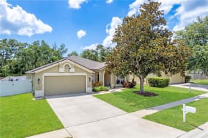 4531 RIVER OVERLOOK DRIVE, VALRICO, FL 33596 - MLS#MFRTB8393835