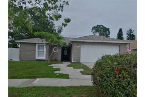 13613 Fawn Ridge Blvd, TAMPA