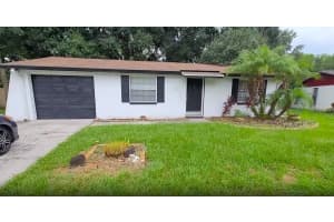 3513 Danny Bryan Blvd, TAMPA